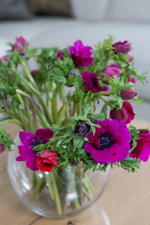 בונים מחדש מעצבים את השנה אחרת XNET